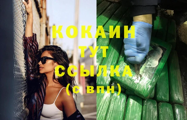 индика Киренск