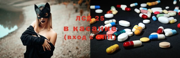 индика Киренск