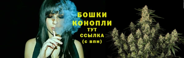 mdpv Киреевск