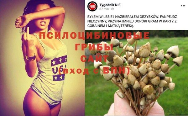 индика Киренск