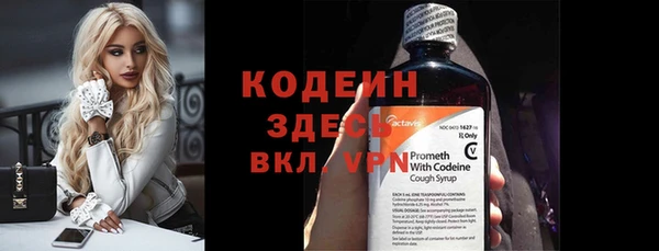 индика Киренск