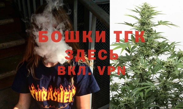 индика Киренск