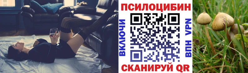 Купить Богородск Галлюциногенные грибы мицелий