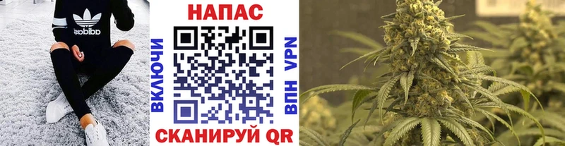 Купить закладки  Богородск  Конопля AK-47 